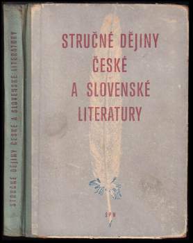 Stručné dějiny české a slovenské literatury