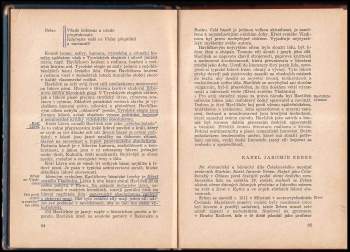Bohuš Balajka: Stručné dějiny české a slovenské literatury