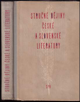Stručné dějiny české a slovenské literatury