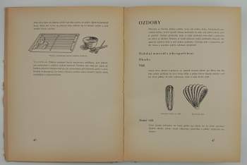 Vilém Vrabec: Studená kuchyně