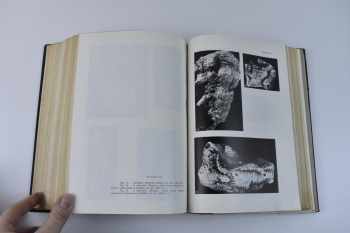 STUDII SI CERCETARI DE GEOLOGIE, GEOFIZICA, GEOGRAFIE, GEOFIZICA