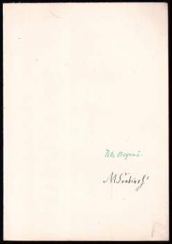 Petr Bezruč: Stužkonoska modrá