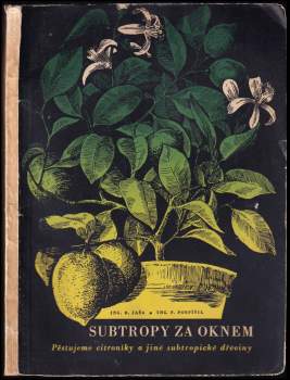 Subtropy za oknem