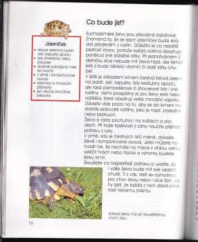 Romana Anděrová: Suchozemská želva