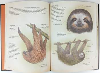 Juan Alonso,: Suchozemští savci světa