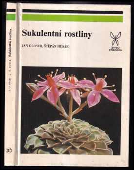 Sukulentní rostliny