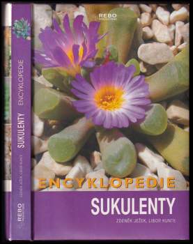 Sukulenty