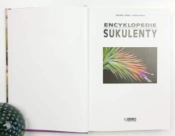 Zdeněk Ježek: Sukulenty