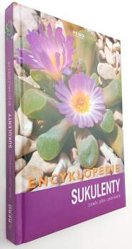 Sukulenty