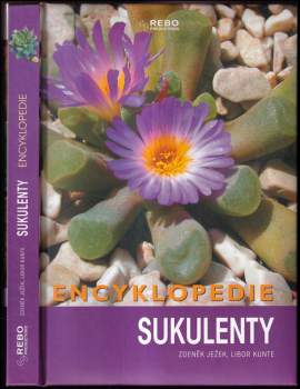 Sukulenty