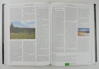 Tomáš Cimrhanzl: Šumava