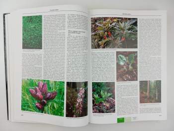 Tomáš Cimrhanzl: Šumava