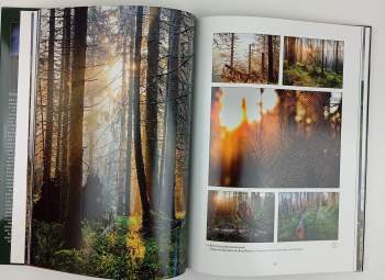 Vladimír Kunc: Šumava