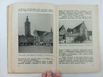Jaroslav Brož: Šumava