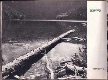 Josef Erhart: Šumava