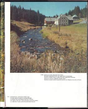 Josef Erhart: Šumava