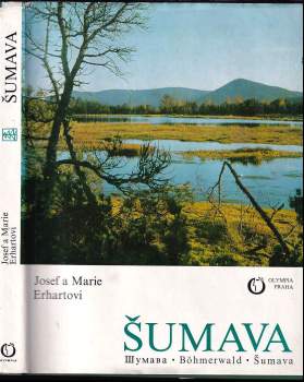 Šumava
