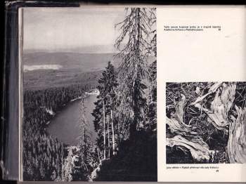 Josef Erhart: Šumava