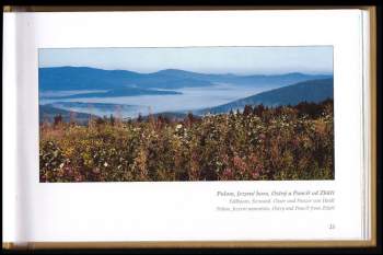 Vladislav Hošek: Šumava panoramatická