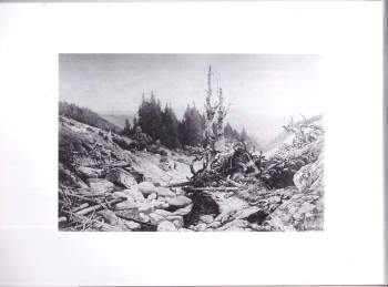 Šumava
