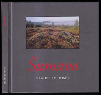 Šumava