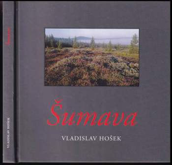 Šumava