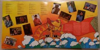 The Beach Boys: Sunshine Dream