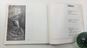 Ludvík Ševeček: Sursum