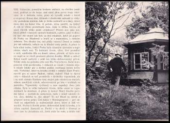 Jindřich Spáčil: Švabinského nokturno