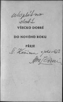 Svatební košile