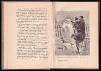 Eliška Krásnohorská: Svéhlavička ženuškou