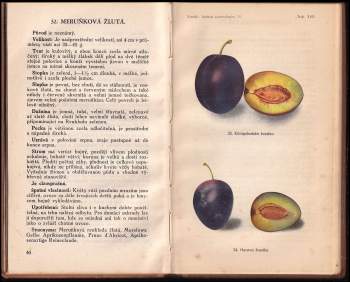 Josef Vaněk: Československá lidová pomologie: Švestky a slívy