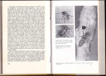 Jiří Zahradník: Svět brouků