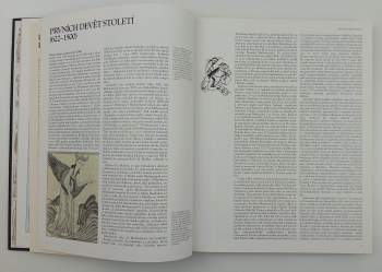 Francis Robinson: Svět islámu