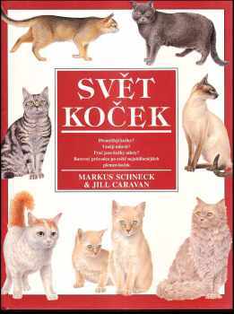 Svět koček