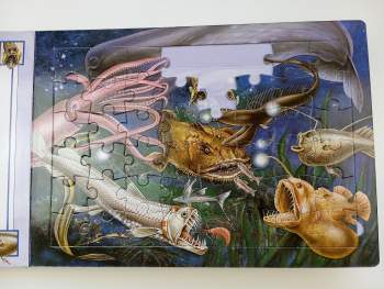 Lee Krutop: Svět moří a oceánů