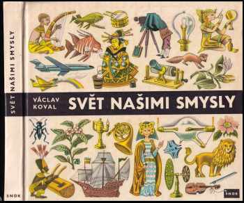 Svět našimi smysly