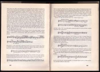 Mirko Očadlík: Svět orchestru