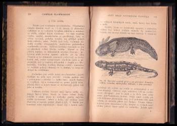 Camille Flammarion: Svět před stvořením člověka