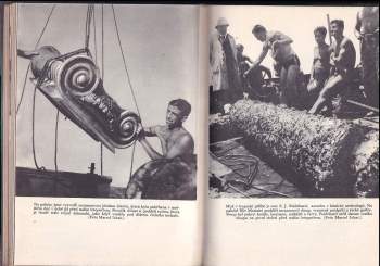 Jacques-Yves Cousteau: Svět ticha