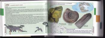 Ondřej Müller: Svět v souvislostech