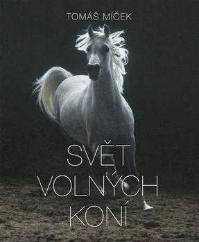 The world of free horses
