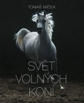 The world of free horses