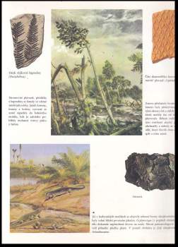 Bořivoj Záruba: Svět vymřelých zvířat