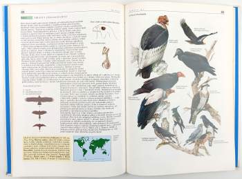 Karel Šťastný: Svět zvířat