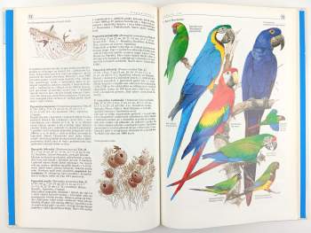 Karel Šťastný: Svět zvířat