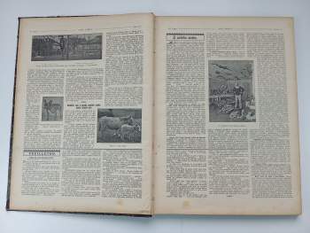 Václav Fuchs: Svět zvířat, ROČNÍK IX., Čísla 134-157