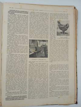 Václav Fuchs: Svět zvířat, ROČNÍK IX., Čísla 134-157