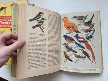 Zdeněk Veselovský: KOMPLET 6X Světem zvířat: I. díl - Savci + II. díl, 1. část - Ptáci + II. díl , 2. část - Ptáci + III. díl - Domácí zvířata + V. díl , 2. část- Bezobratlí