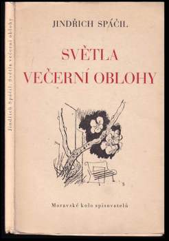 Světla večerní oblohy